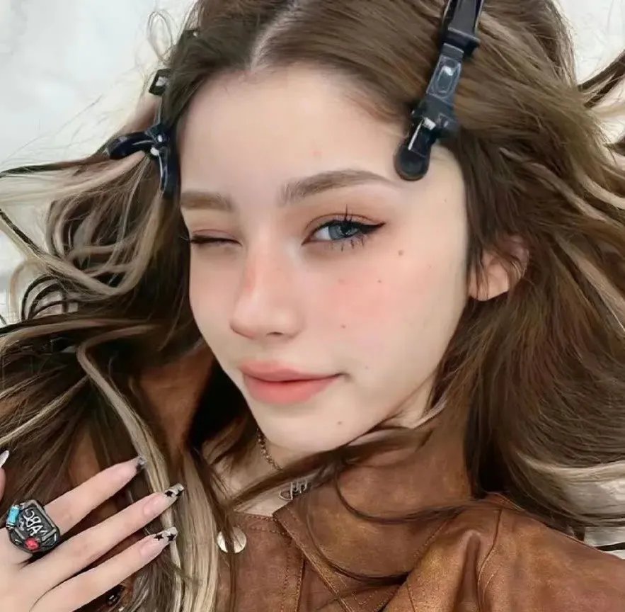 盗贼生涯