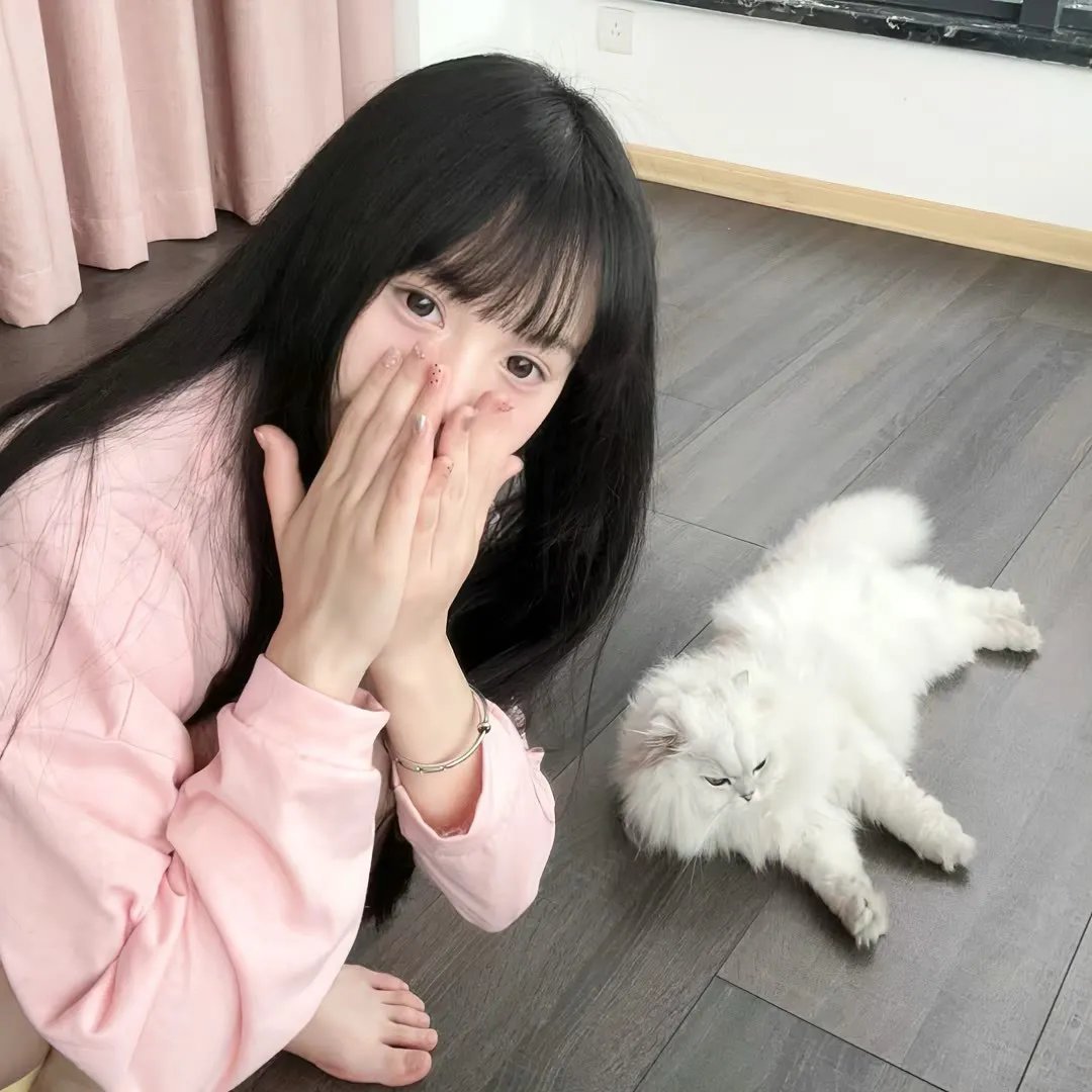 红粉贵族